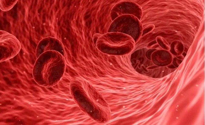 Red Blood Cells Offer a Breakthrough in Liquid Biopsy Technology
